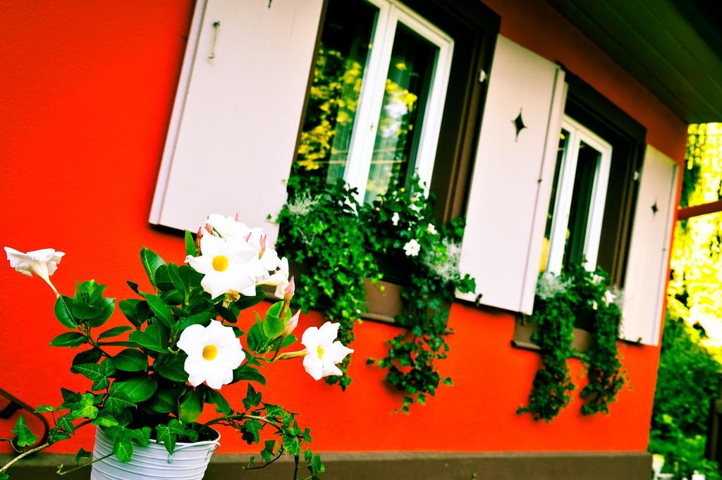 Chambres D'hotes Terre De Groseilles * Straatsburg